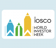 Memorandum on the Insurance of Liabilities to Investors